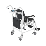 Vážící křeslo KERN MCC 250K100M